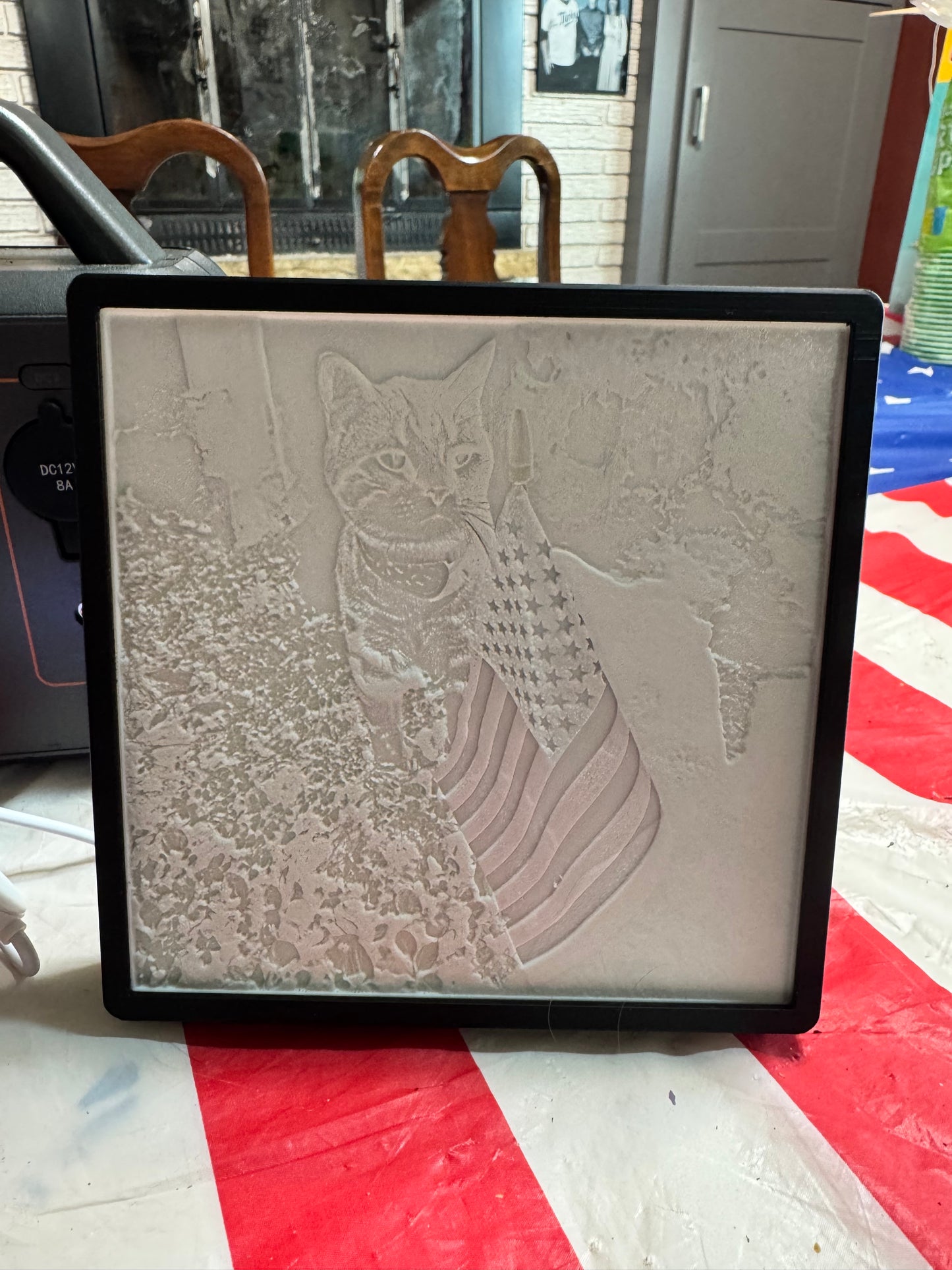 Custom Lighted Picture