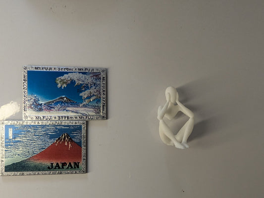 NObody Fridge Magnets