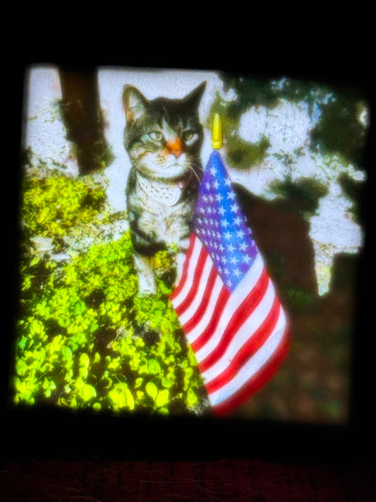 Custom Lighted Picture