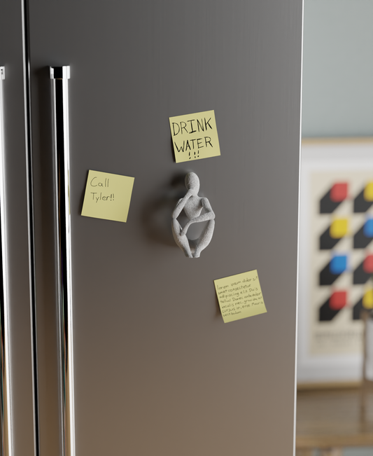 NObody Fridge Magnets